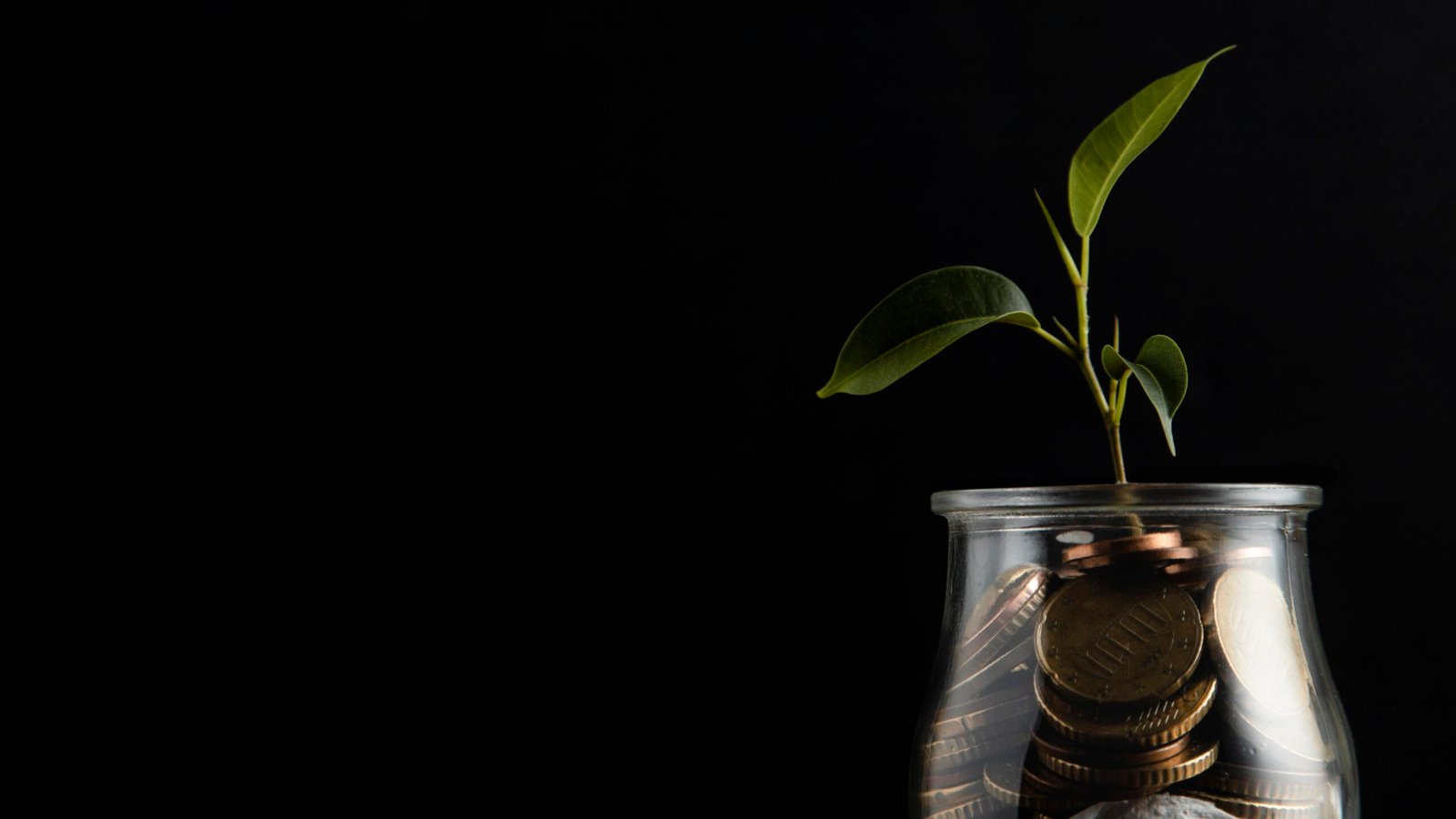 plant-growing-from-jar-coins-with-copy-space